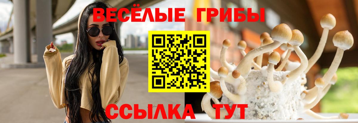Галлюциногенные грибы Cubensis  Вход с VPN  Малоярославец 